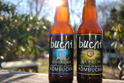 Buchi-picnic-shot